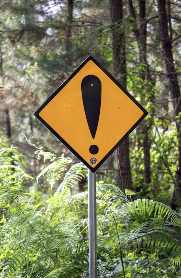 Risk Assessment and Mitigation
